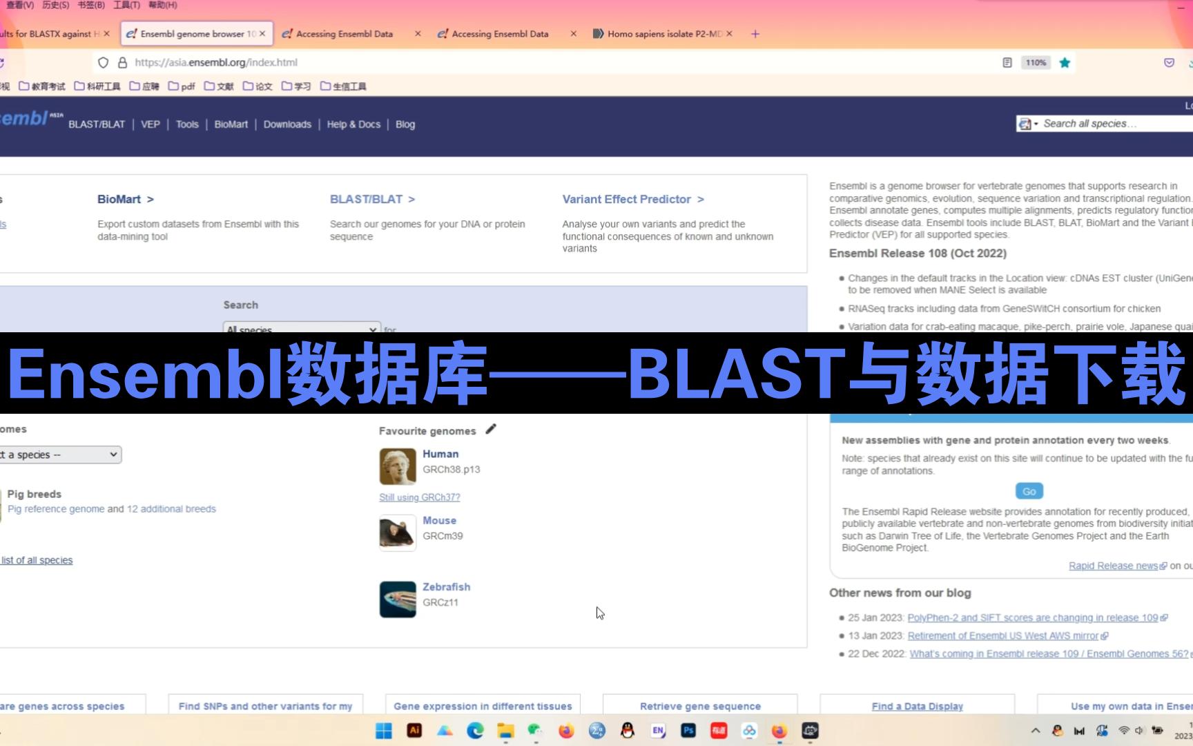 Ensembl数据库+BLAST与数据下载哔哩哔哩bilibili