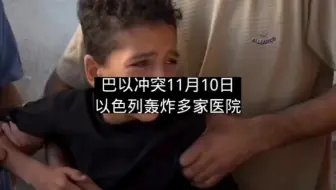 巴以冲突11月10日:以色列声称摧毁加沙市中心最大哈马斯基地，媒体声称以色列10月7日向自己人开火。