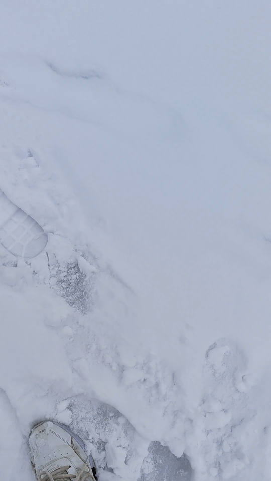 下雪图片实景图片