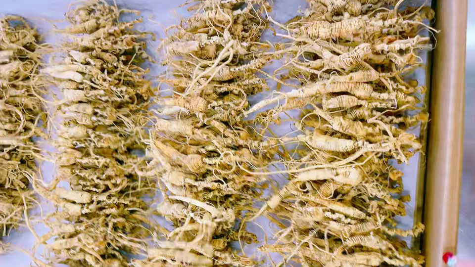 福利款山参打粉料,不介意品相的可以选择,做为日常保健相当好还实惠