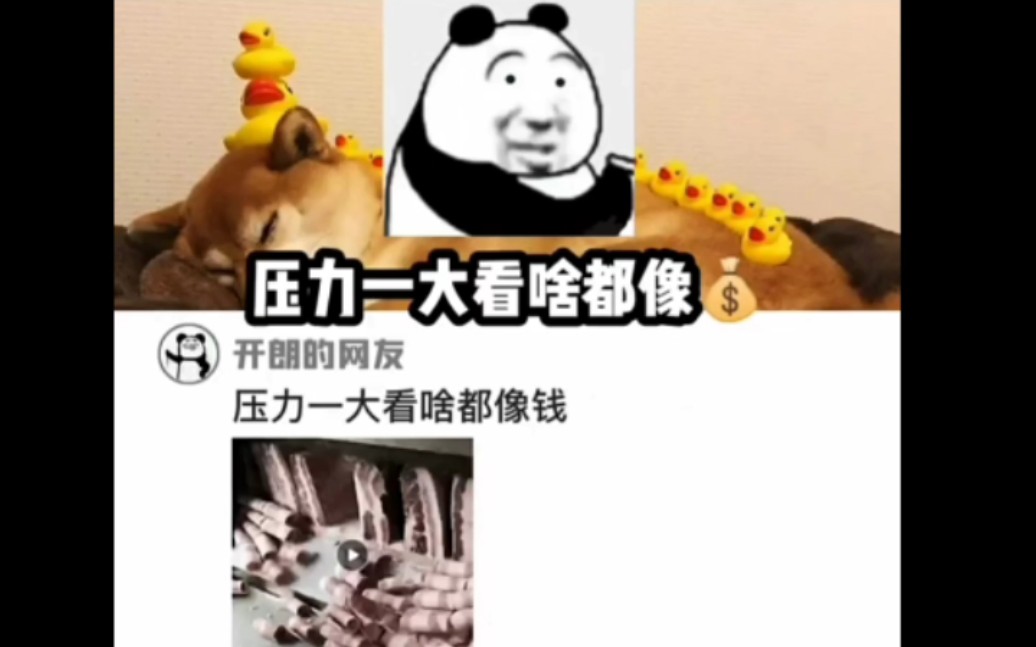 压力大有什么表现?哔哩哔哩bilibili