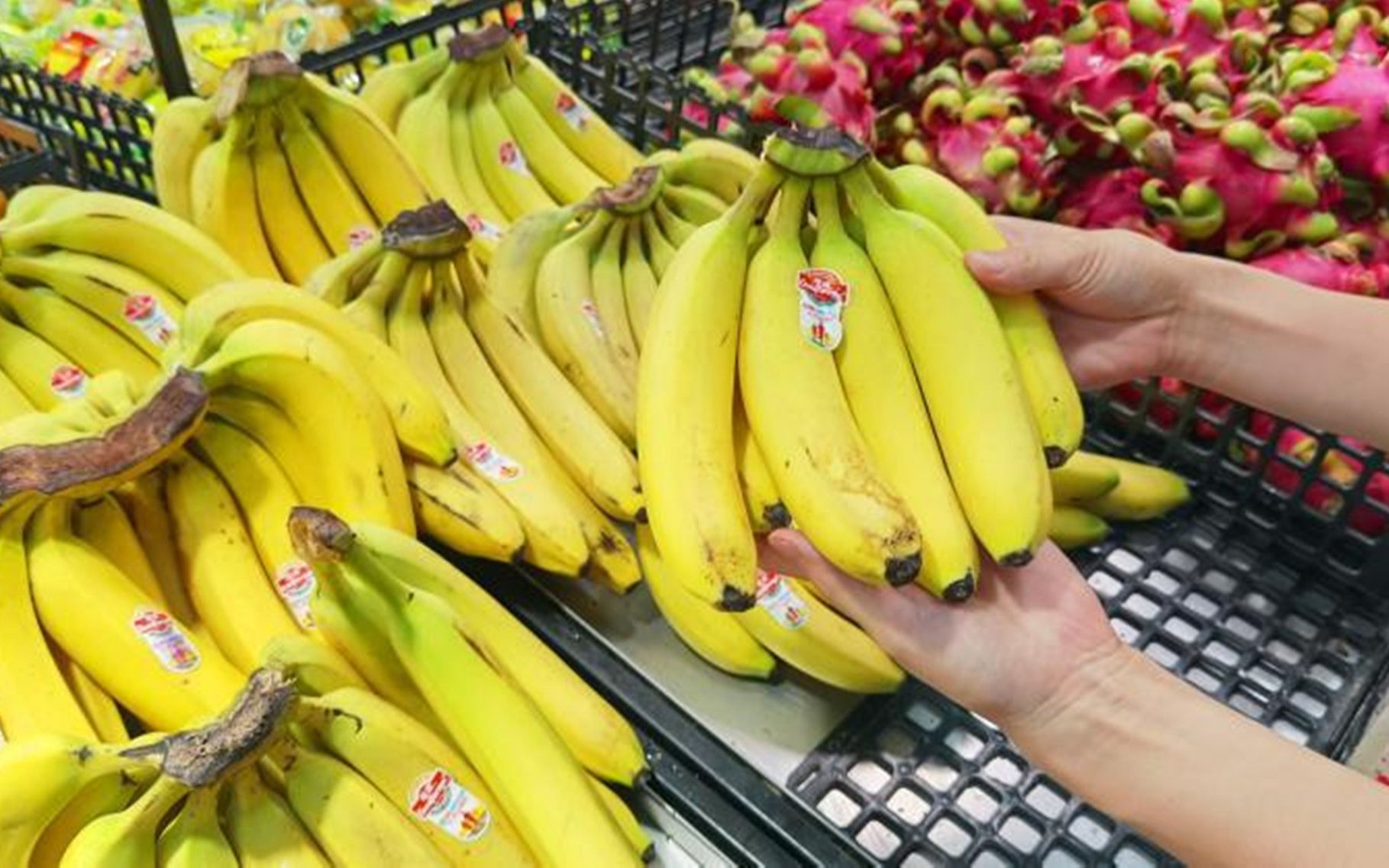 买香蕉时挑直的还是弯的多亏老果农的提醒学会马上转达家人