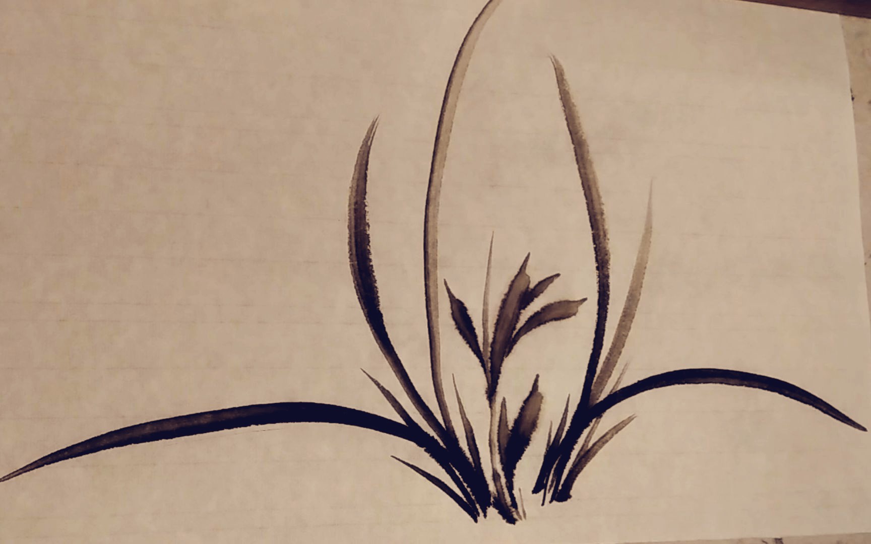 国画基础入门临摹郑思肖兰花