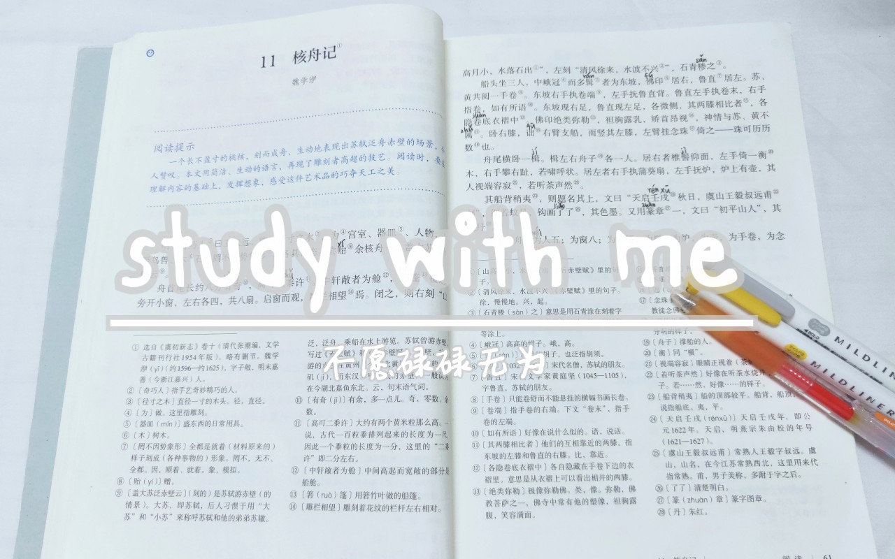 │初二│STUDY WITH ME│核舟记│读书笔记│手帐│刷生物│阅读│#3│人生没有如果,只有后果和结果.哔哩哔哩bilibili