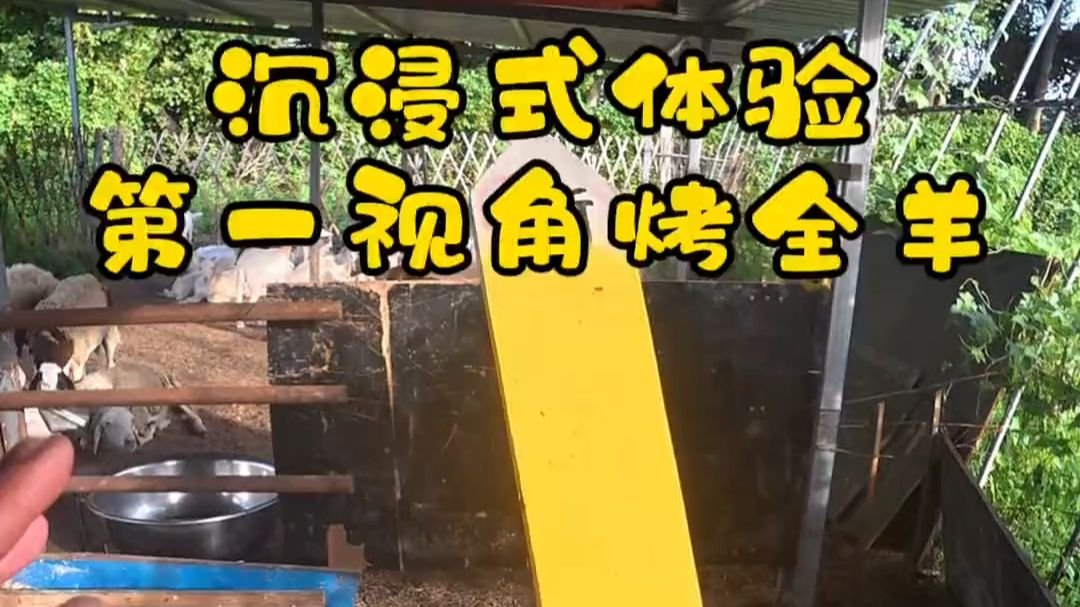 聚餐不用纠结点菜！锡山炭火烤全羊，亲友相聚氛围感之王