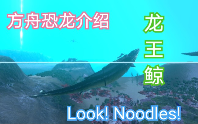 方舟恐龙介绍Look! Noodles! 龙王鲸哔哩哔哩bilibili