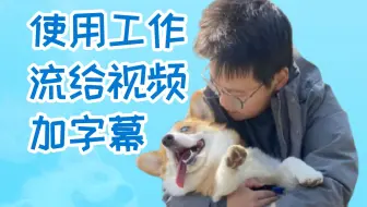 使用工作流给视频加字幕