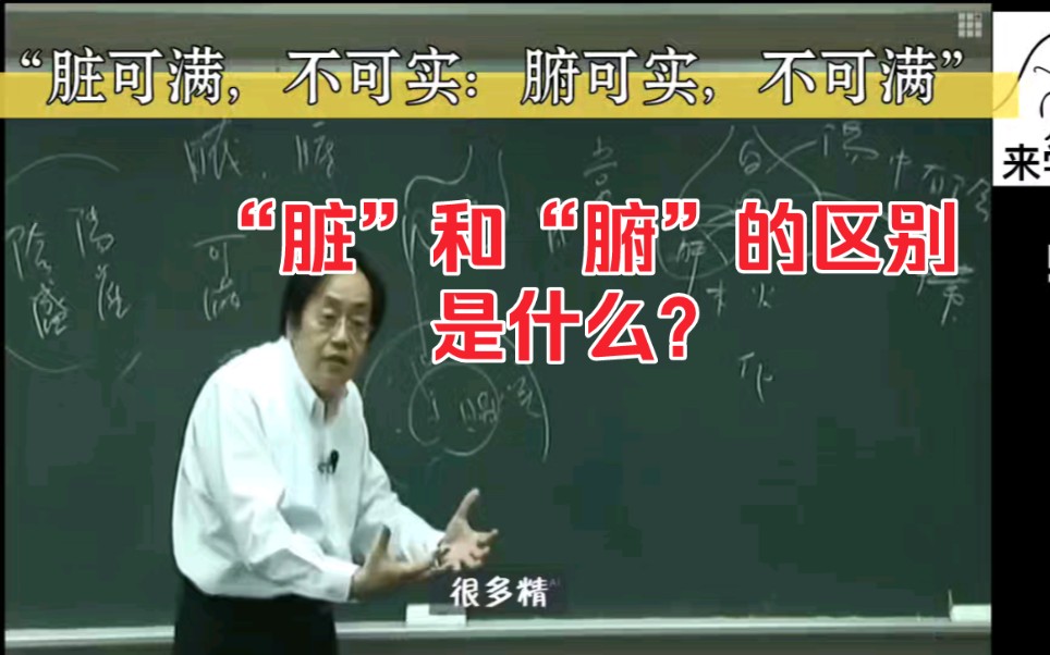 ⚡中医倪海厦讲述“脏和腑”的区别是什么?你知道五脏六腑分别是哪些吗?哔哩哔哩bilibili