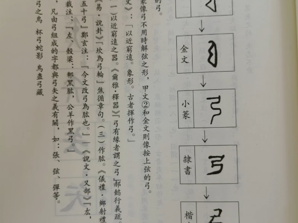 弓字的演变