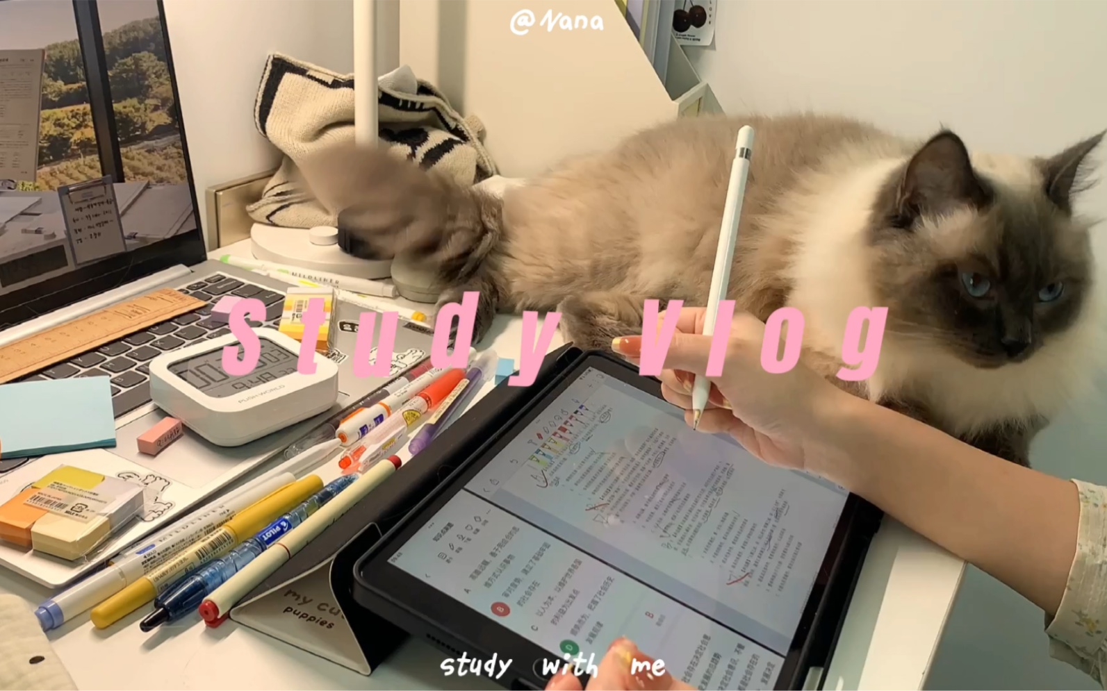 Study Vlog|5:58早起学习|宅家学习日常|考编日记|猫咪伴学|study with me|自律|咖啡哔哩哔哩bilibili