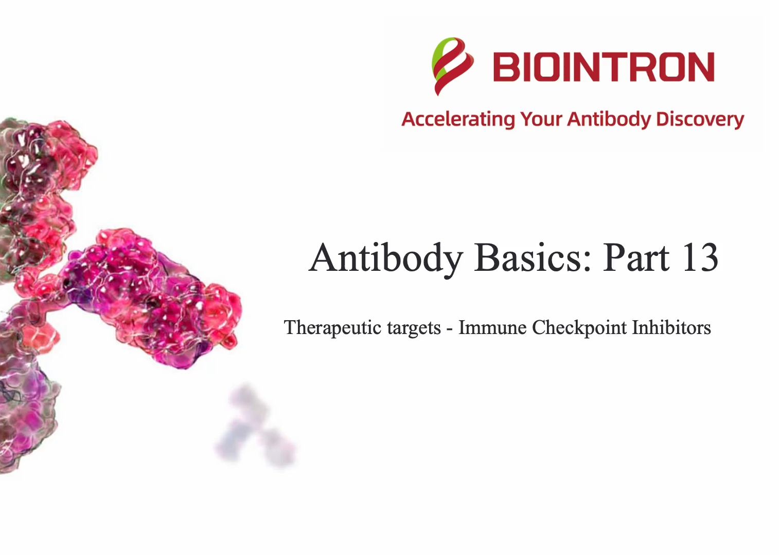 Antibody Basics 13——抗体与自免性疾病哔哩哔哩bilibili