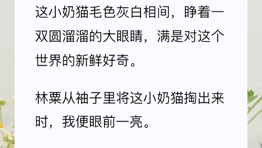 《以假乱真成白月光》沈烨为了他的白月光,几乎要掐死我.当我从沉重的黑暗里慢慢挣脱,神思逐渐清醒时,一直在我身边伺候的王妈妈便扯着嗓子兴奋说...