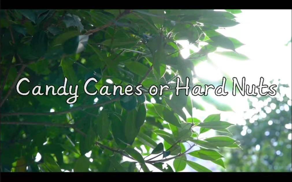 【审计电影】《Candy Canes or Hard Nuts》哔哩哔哩bilibili