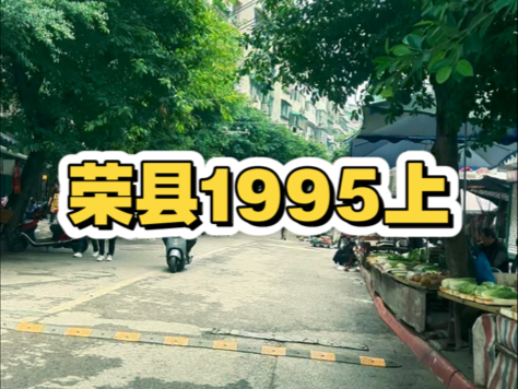 荣县通史(四百零三)荣县1995上哔哩哔哩bilibili