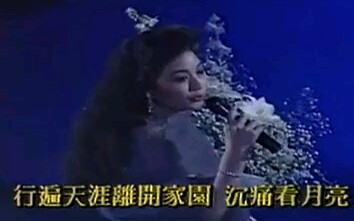 [图]徐小凤-月亮光光/1990