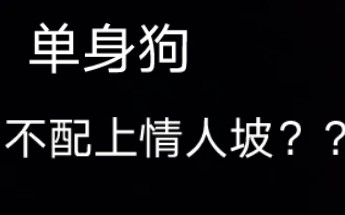 【暑假不回家】我和我的校庆日记之冲出情人坡篇哔哩哔哩bilibili