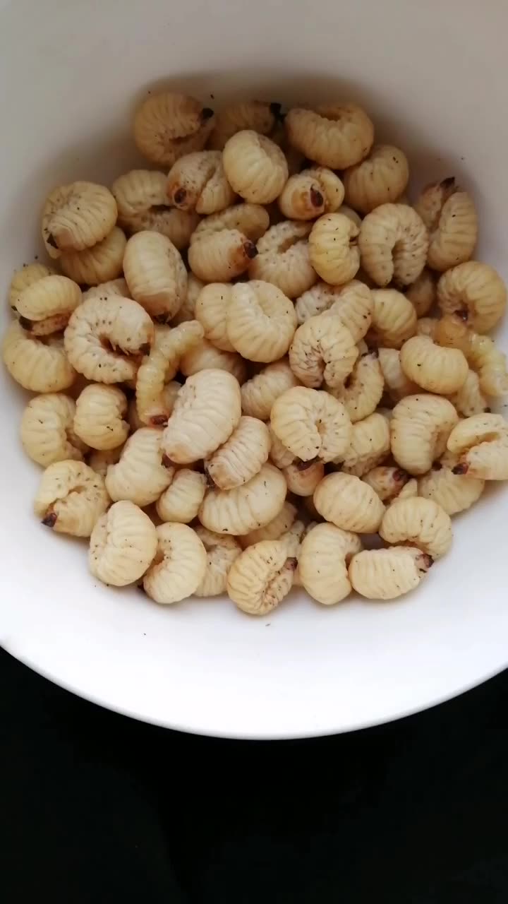 葛藤虫,不会做浪费了