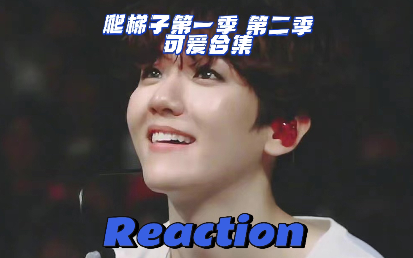 【边伯贤|reaction 】爬梯子第一季 第二季 可爱合集哔哩哔哩bilibili