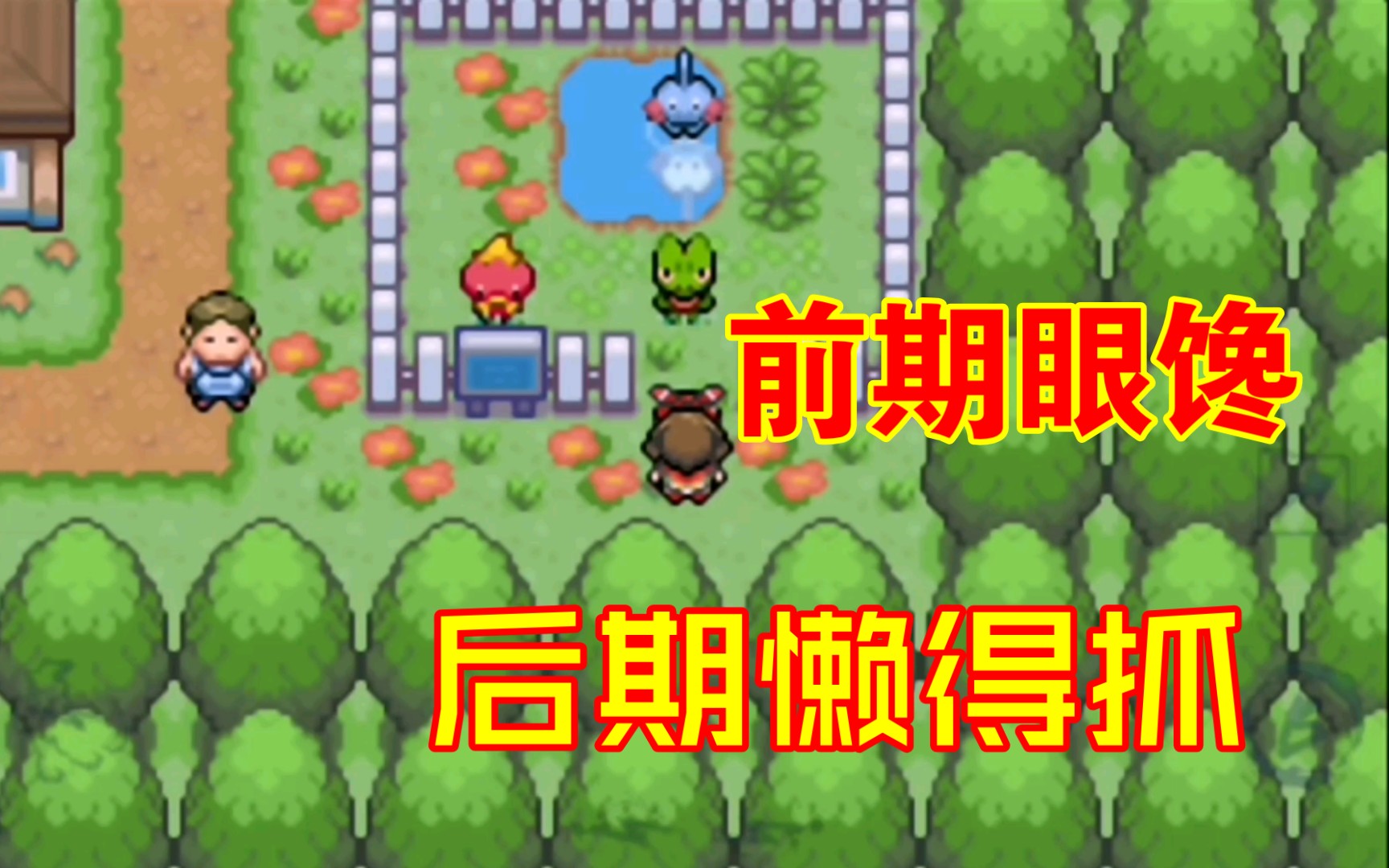 【究极绿宝石5.2】二周目定点的精灵们.POKEMON