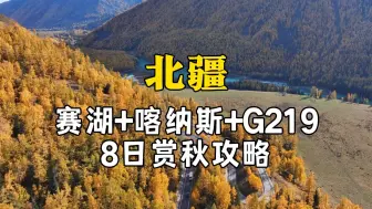 Download Video: 我会永远期待🍂秋天的喀纳斯和G219北疆段