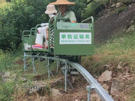 单轨运输车源头厂家