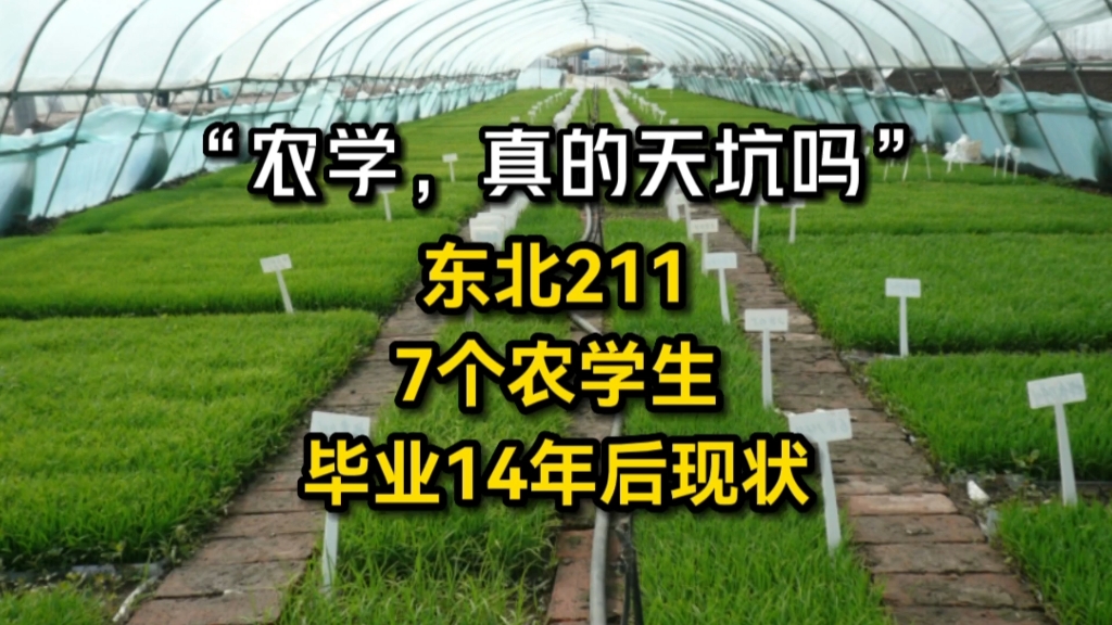 “农学,真的天坑吗?”东北211院校,7个农学生,毕业14年后现状哔哩哔哩bilibili