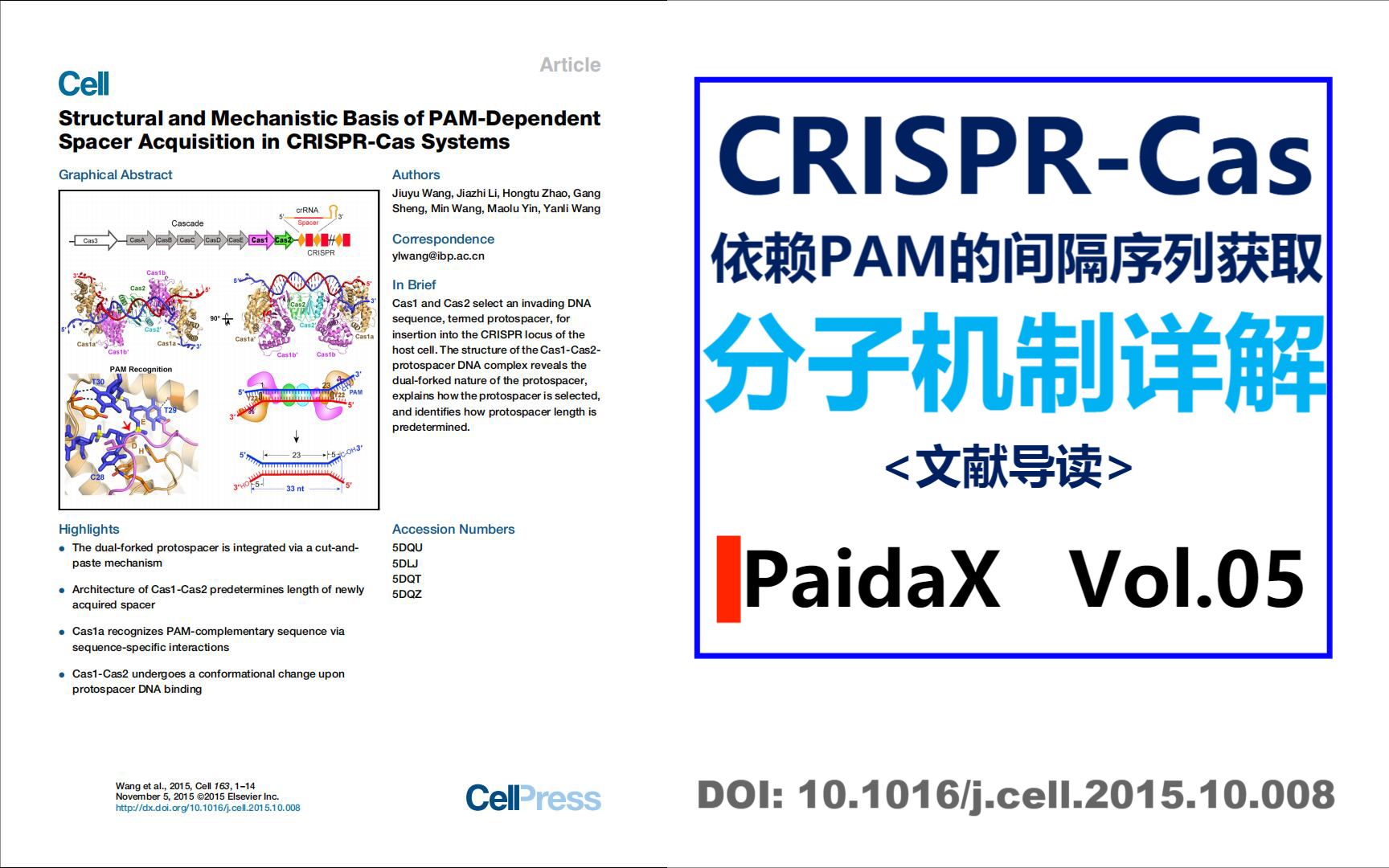 【极硬科普】依赖PAM的间隔序列获取(Cell顶刊文献导读)哔哩哔哩bilibili