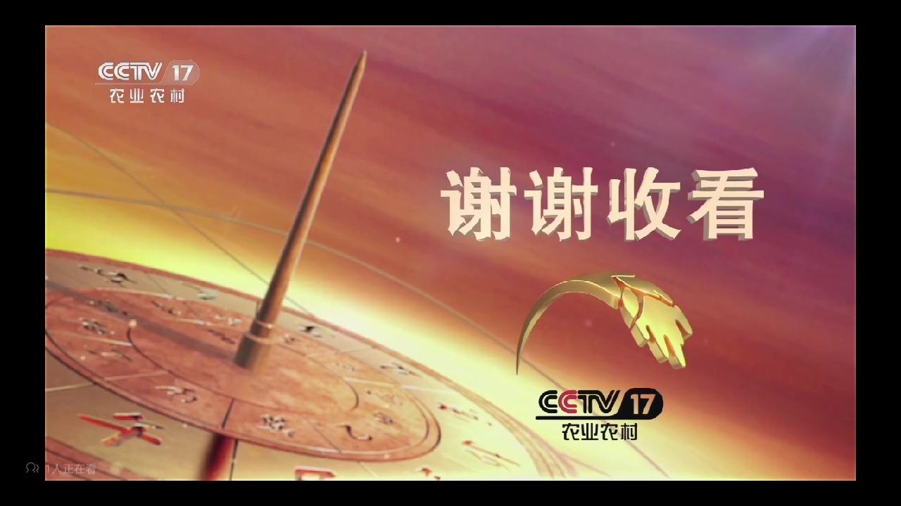 军事农业频道致富经养羊(小型室内种植致富)