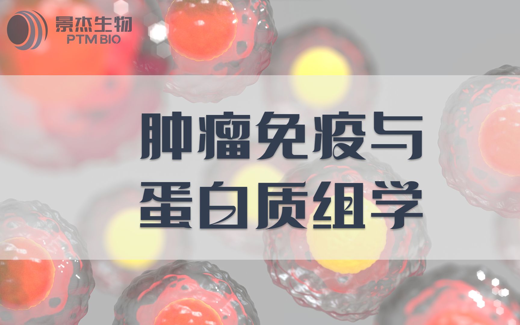 【科普向】全面梳理肿瘤免疫与蛋白质组学研究进展哔哩哔哩bilibili