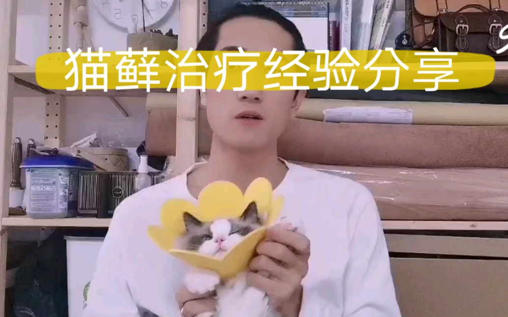 猫藓治疗经验分享哔哩哔哩bilibili