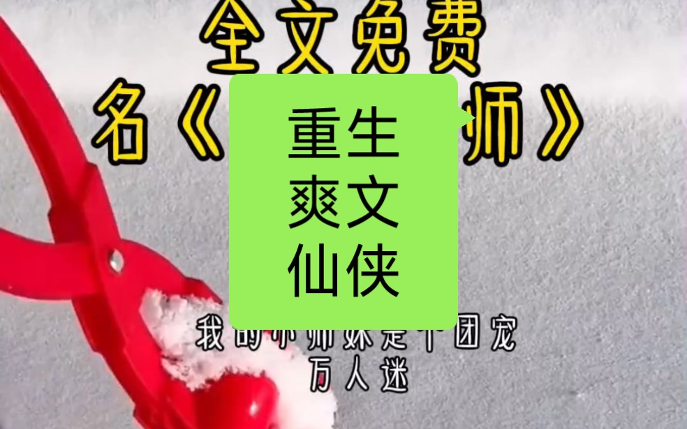 我的小师妹是宗门团宠万人迷,重生后,我觉得整个宗门纯种大傻呗.我不干了……哔哩哔哩bilibili