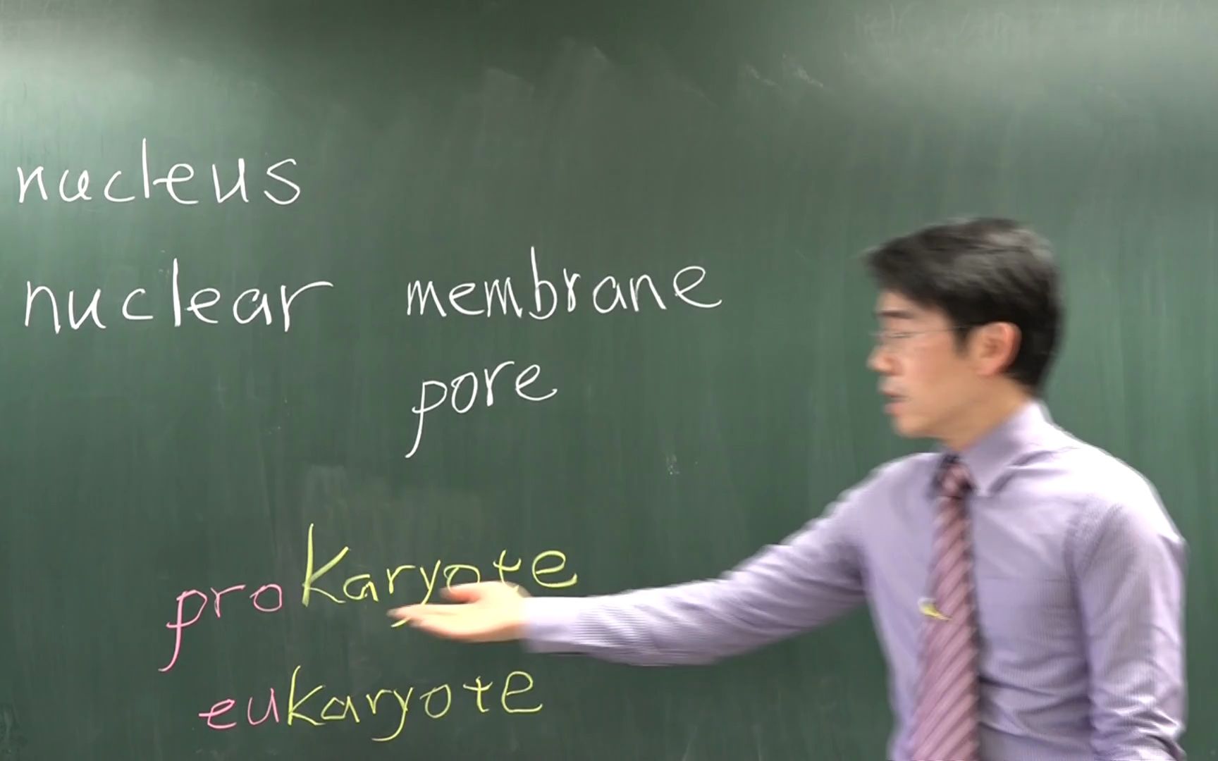 看英文学生物看生物学英文002细胞核 nucleus karyo 生物专业英文 双语教学 bilingual education 学中文哔哩哔哩bilibili