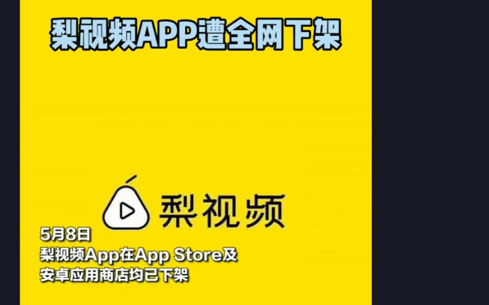 梨视频app遭遇全网下架哔哩哔哩bilibili