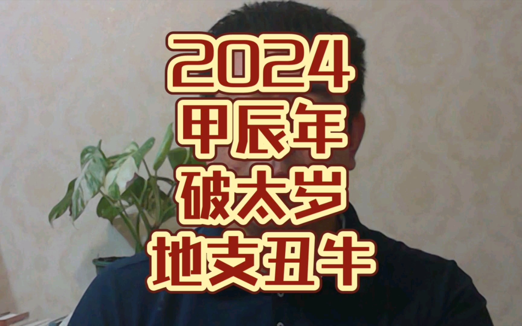 2024甲辰年破太岁地支丑牛的表现哔哩哔哩bilibili