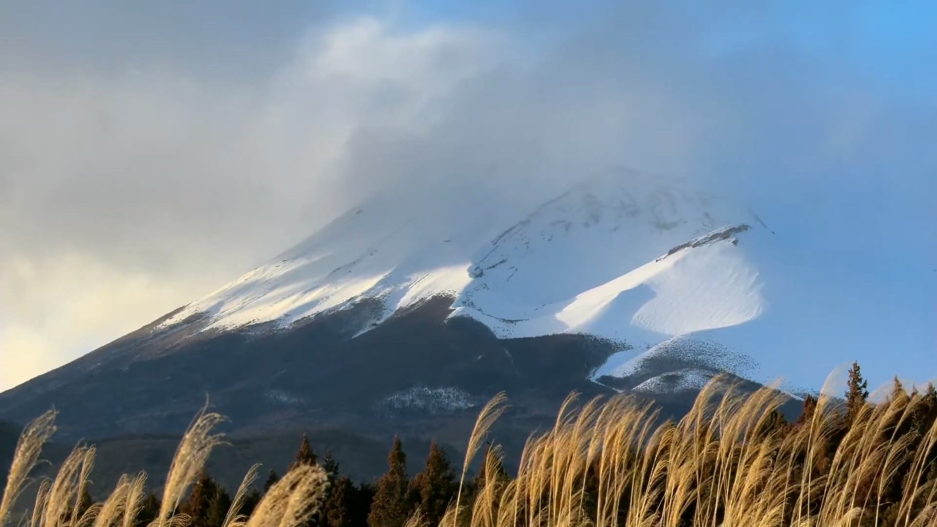 guanyuhan426Filming Spatial Video In Japan富士山Mt. Fuji 直播录像 20240124哔哩哔哩bilibili