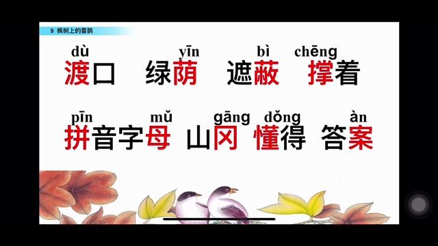 [图]3.13二年级语文《枫树上的喜鹊》2.字词教学