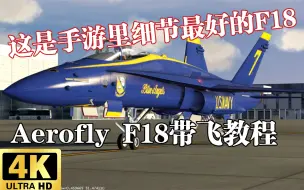 下载视频: 【Aerofly FS 2021/新手教程】如何开这架手游里座舱细节最好的F-18？——F18带飞教程