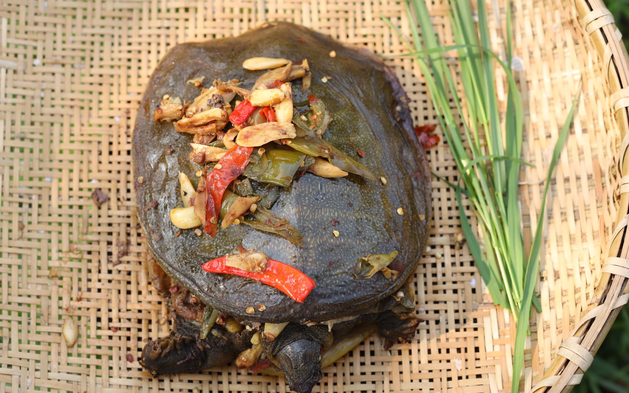 当甲鱼开发出了新吃法做成叫花甲鱼壳都是软的太香了