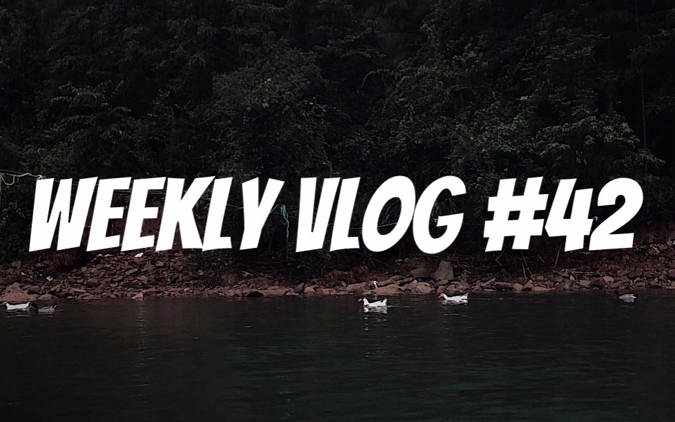 WEEKLY VLOG 42:小型开箱 | 衢州疗休养 | 江郎山 | 药王山漂流哔哩哔哩bilibili