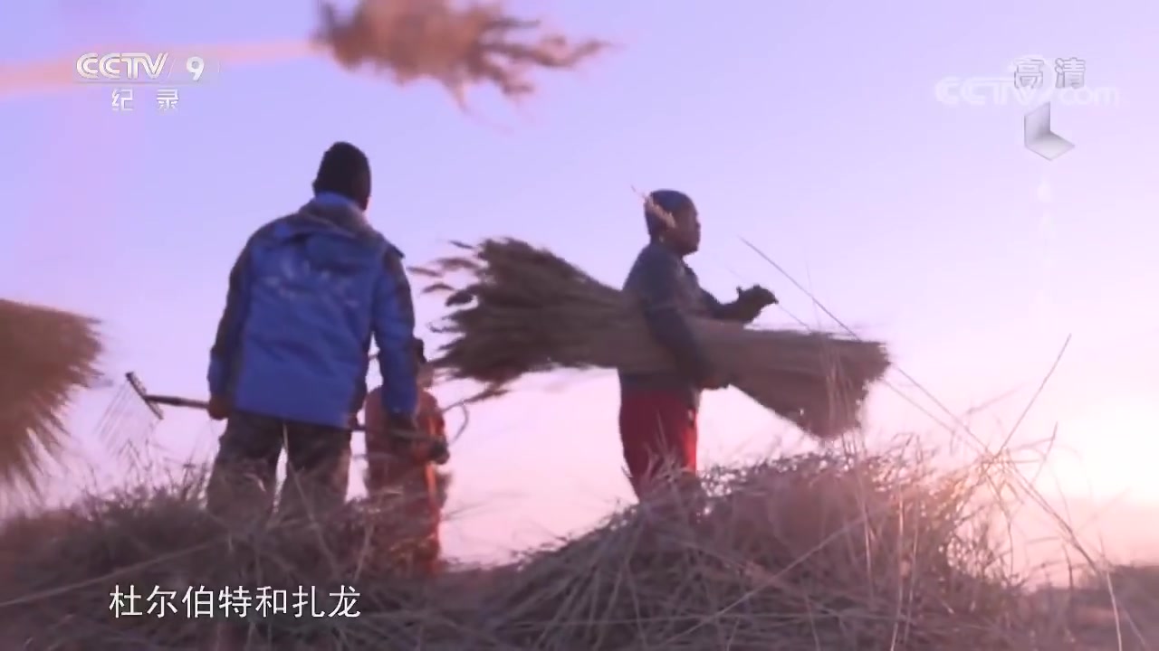 [图]在丹顶鹤的故乡——扎龙 这里的仙鹤动作优雅 一点都不怕人《乘着绿皮车去旅行》第四集【CCTV纪录】