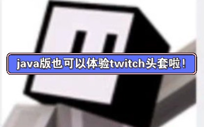 [多人可见]我的世界java版白嫖twitch头套教程 #tiktok披风#十五周年披风#老鼠头网络游戏热门视频