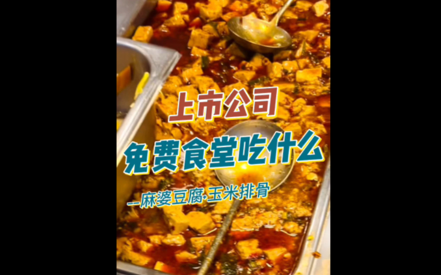 上市公司免费食堂午饭都吃什么?(5)哔哩哔哩bilibili