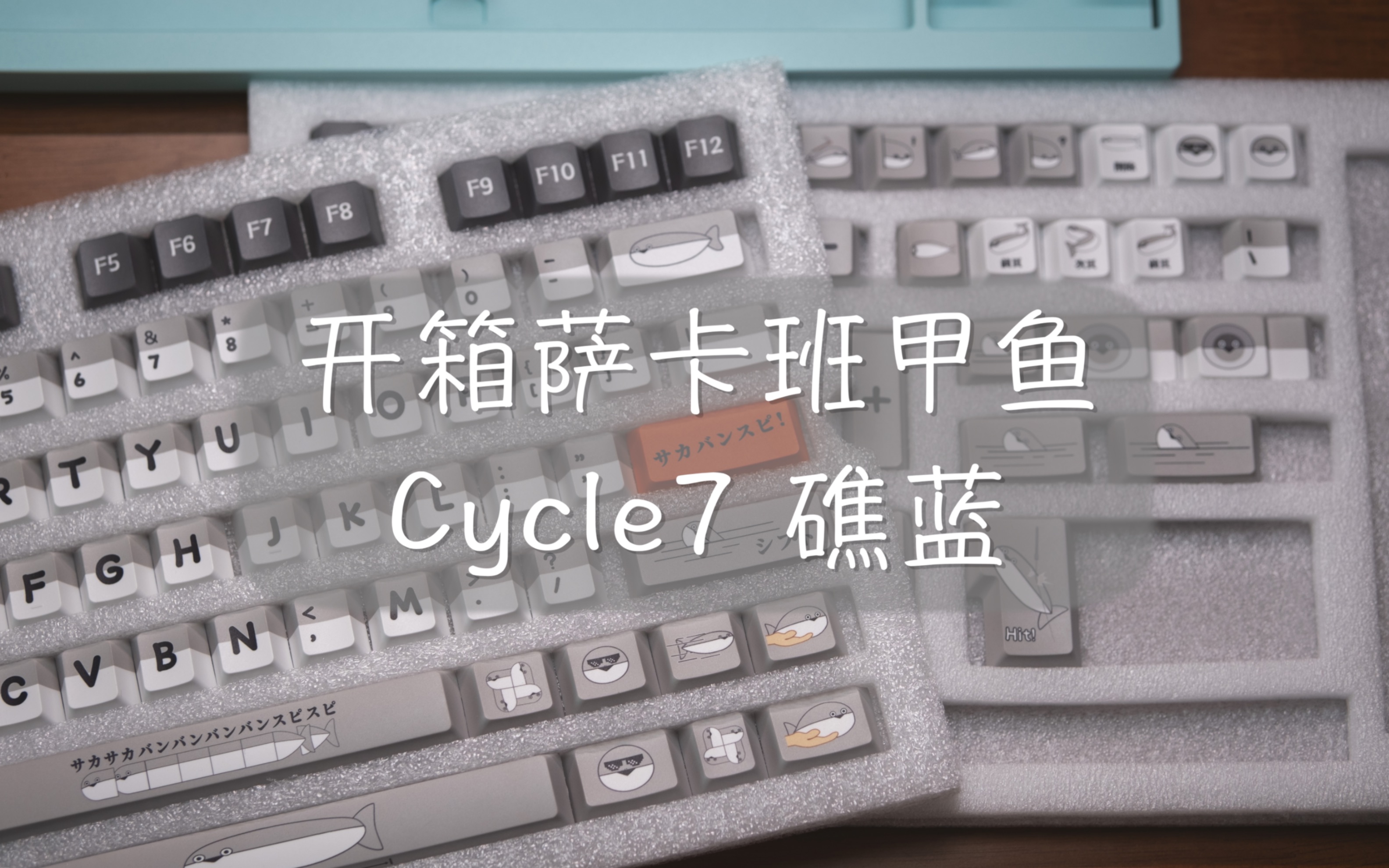 【龙门阵】开箱萨卡班甲鱼键帽 Cycle7 礁蓝大货TKD机械键盘游戏键盘客制化机械键盘键盘套件阳极打字音助眠ASMR【辣椒】哔哩哔哩bilibili