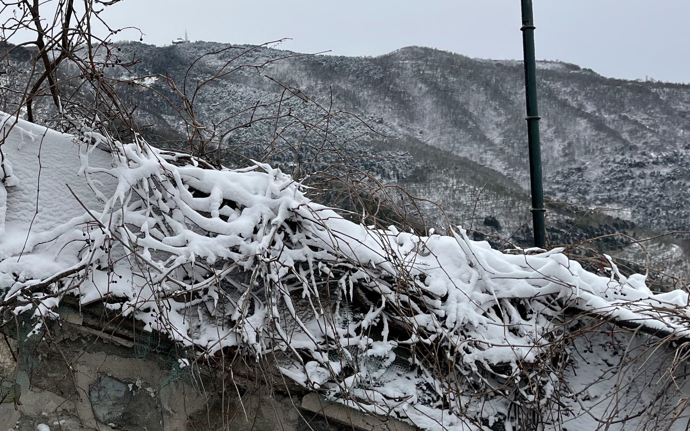 杜比视界 香山雪景 2209台阶哔哩哔哩bilibili