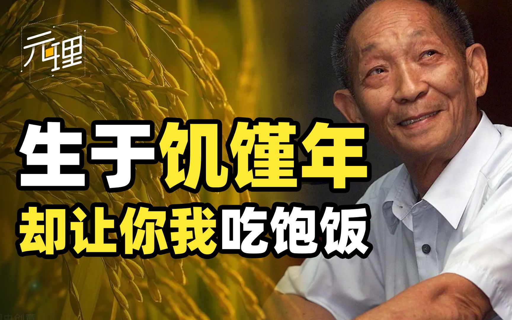 全民偶像袁隆平,人民把他当恩人!