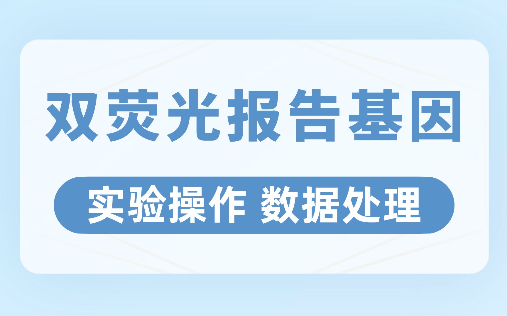 双荧光素酶报告基因实验原理及解析哔哩哔哩bilibili