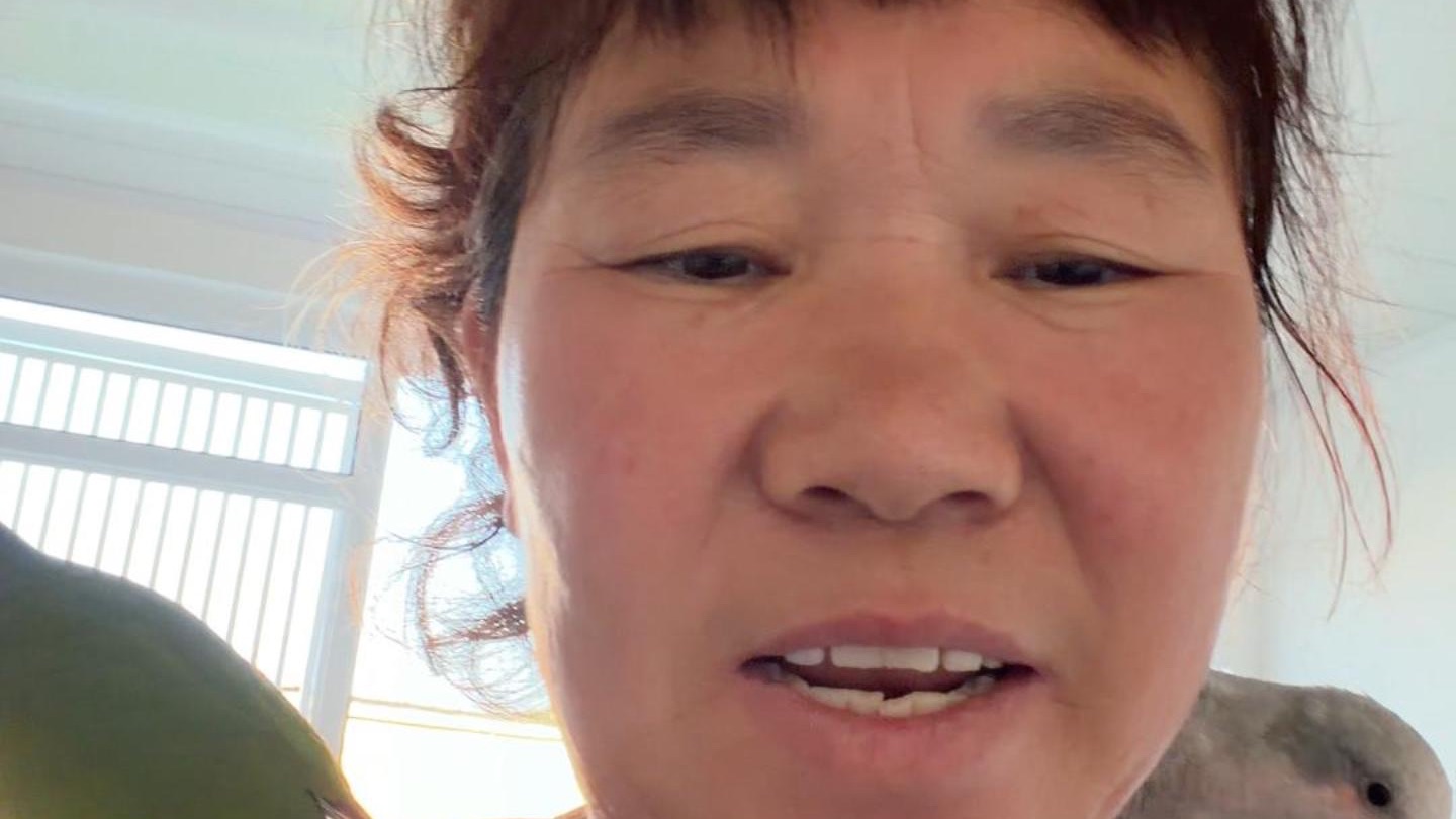 附近闲逛,上门喂养阿姨给我拍的视频