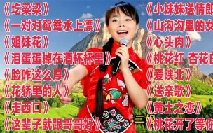 Download Video: 陕北王二妮《圪梁梁》《泪蛋蛋掉在酒杯杯里》《花轿里的人》《走西口》