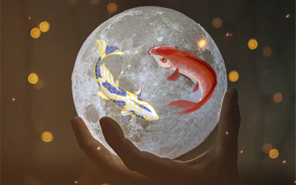 每日锦鲤,吉祥如意(2022.9.25)