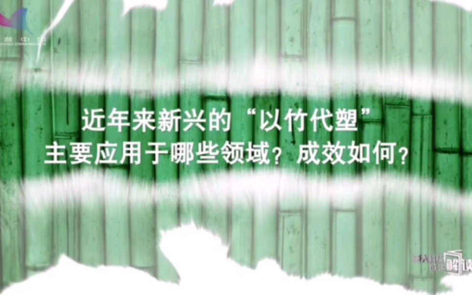 国家林草局世界竹藤中心主任费本华—以竹代塑应用领域和成效哔哩哔哩bilibili